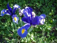 Royalty free pictures to use on your blog