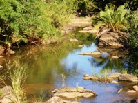 Royalty free pictures to use on my website. Stock
                photos of Reptiles. Hluhluwe river