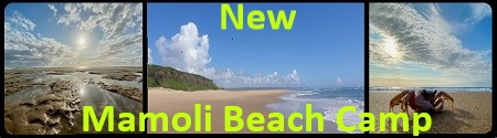 Cape Vidal Camping & Accommodation