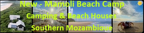 Mamoli
                Beach Camp near Ponta Malongane