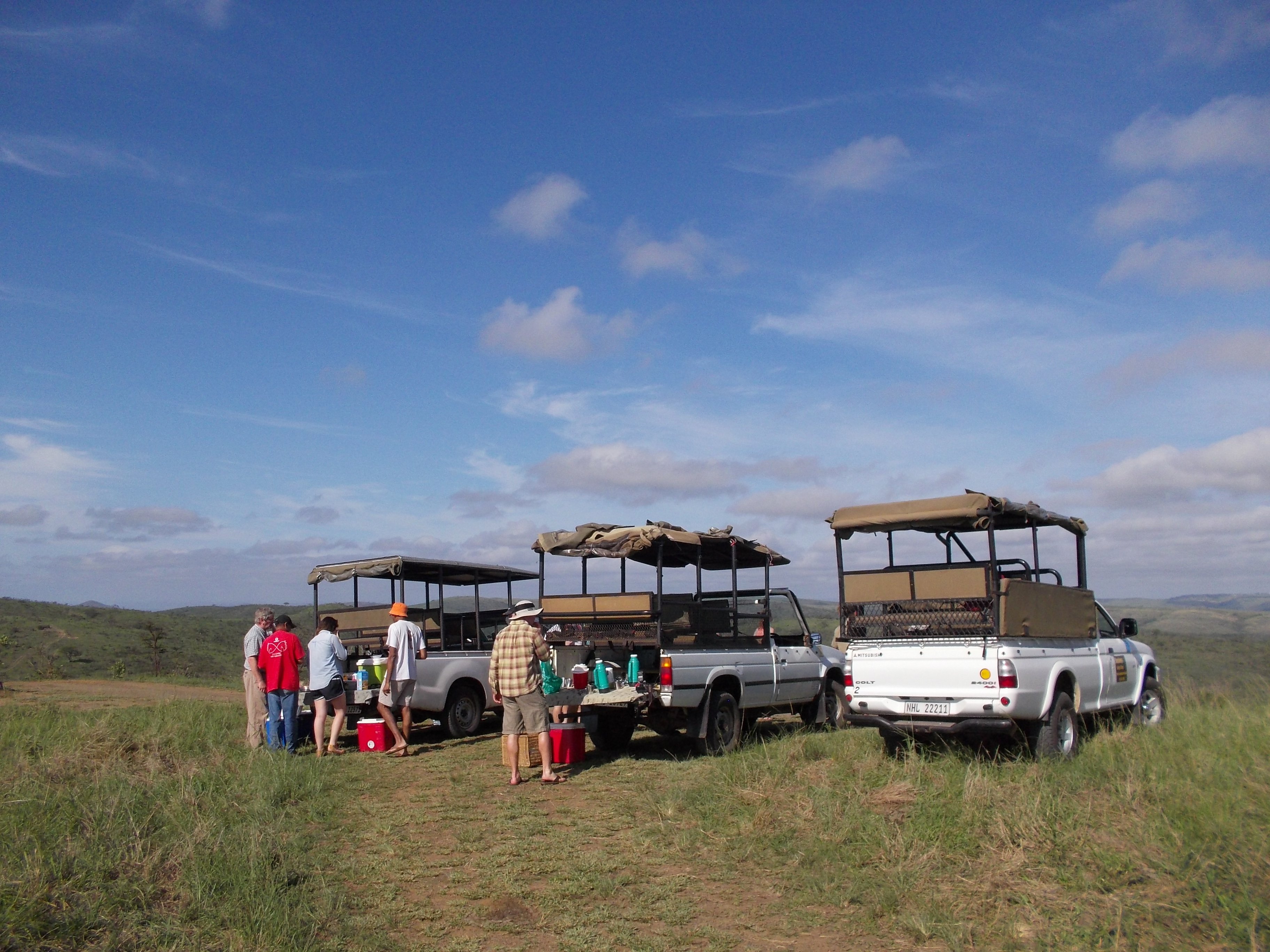 Open safari vehicles used
                for wildlife viewing