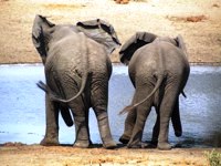 St Lucia South Africa tours and accommodation package
          deals